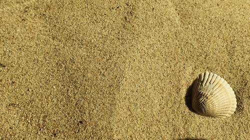 Sand julianadorp strand - strand,