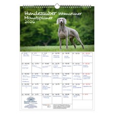 Hundezauber Weimaraner Planer DIN A3 Kalender für 2026 Welpen und Hunde - Seelen