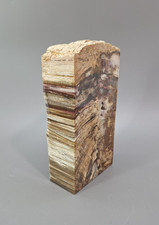 Versteinertes Holz aus einem