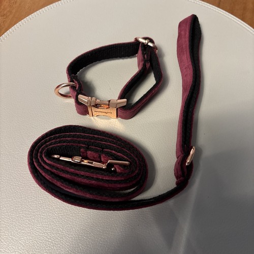 Hunde halsband und leine - hunde,