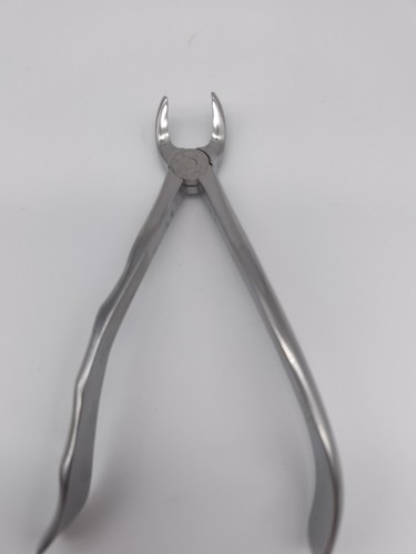 Orbis-Dental