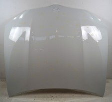 BMW X3 G01 X4 G02 Motorhaube Hood Hagelschaden