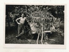 kleines Foto - Luftwaffe LKW mit Tarnabdeckung - 2.WK