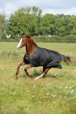 Bucas 140 Black/Gold Outdoordecke 150g Irish Turnout Weidedecke