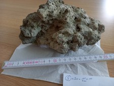 Sansibar Lochgestein geeignet für Aquarium Terrarium Garten, Maße ca 20x11x11cm 