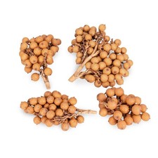 Rattan Frucht Zweige 500g