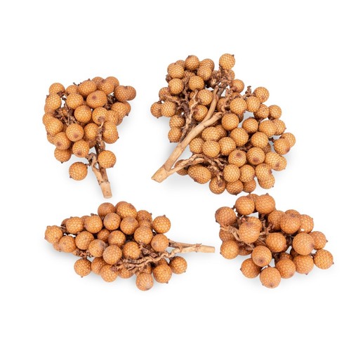 Rattan frucht zweige 500g - rattan,