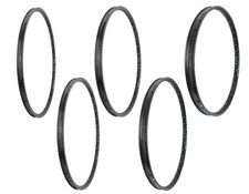 Black Dingo DH Disc Felge 36L wählbar 19mm,21mm,25mm,30mm,35mm 26" 27,5" 28" 29"