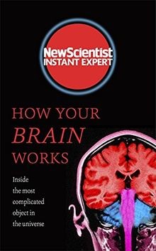 How your brain works inside - your,