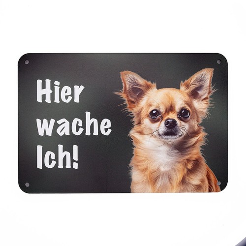 Chihuahua warnschild hier - chihuahua, „hier
