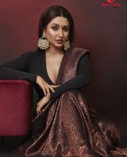 NEU Eleganter Sari Pakistan