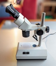 Eschenbach Auflicht Stereo