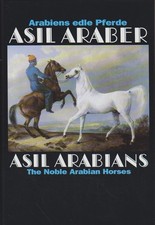 Asil araber arabiens edle - iv,