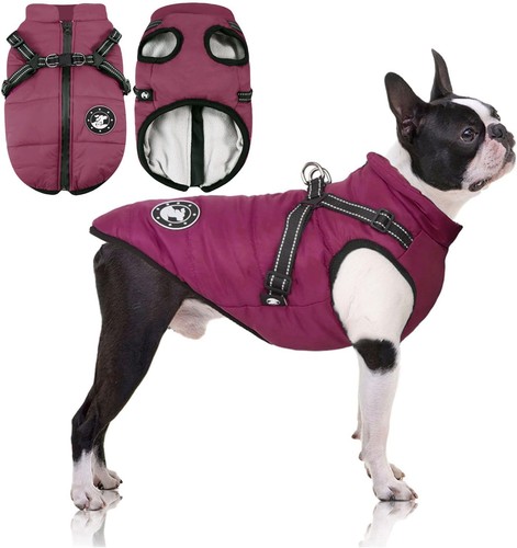 Hundemantel mit geschirr - hundemantel,