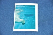 REWE ABENTEUER TIERWELT