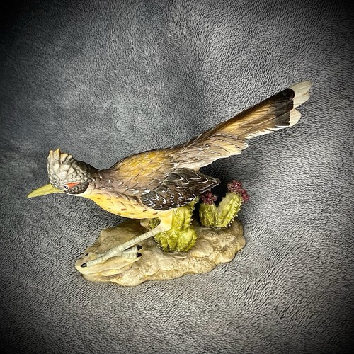 Goto original roadrunner - original, vogel