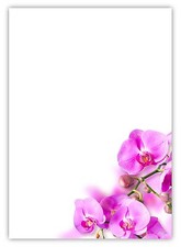 100 blatt motivpapier 5029 - motivpapier-5029, a4