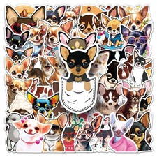 Chihuahua Chi Chi Dog Small