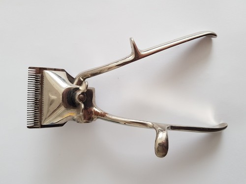 Sauda leipzig antike - sauda,
