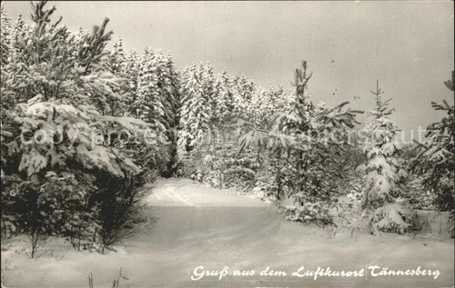 Taennesberg skigebiet - taennesberg,