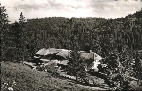 Feldberg schwarzwald - feldberg,