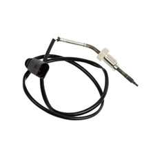 Abgastemperatursensor vor
