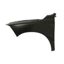 Kotflügel vorne links