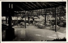 Ak Schönau im Schwarzwald, Gasthof zum Ochsen - 3535846