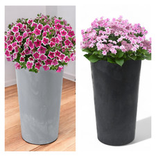 Blumenkübel Betoneffekt Rund