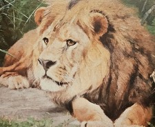 "Löwe" - Wilhelm Kuhnert" -