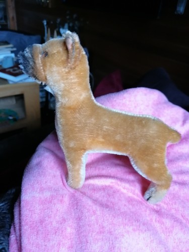 Orginal steiff boxer - steiff,