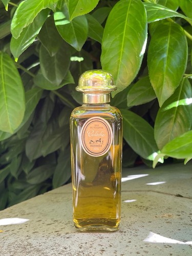 Vintage hermés calèche - vintage,