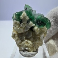 Phantom Fluorit Würfel zonal