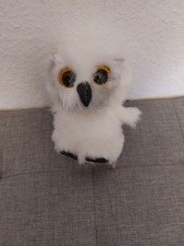 Ty Beanie weiße Eule Glubschi