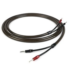 Chord epic audio - chord, x
