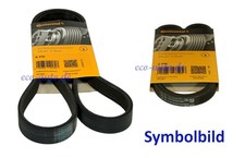 2 x CONTITECH Keilrippenriemen