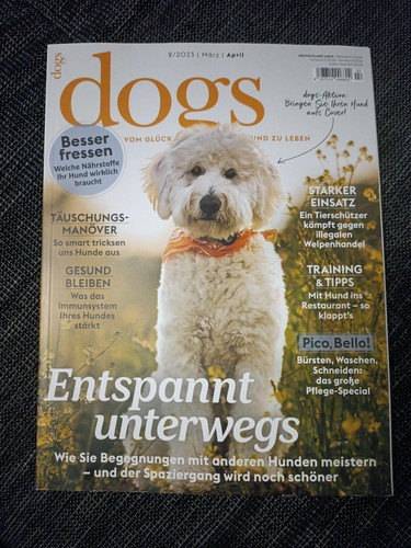 Dogs von glück mit - dogs, hund