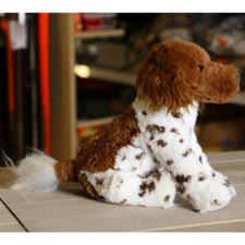 Kleiner Münsterländer