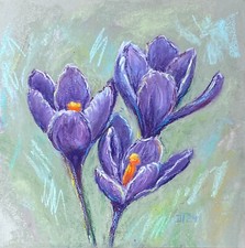 Frühlingsblumen Krokus