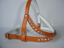 HUNDEGESCHIRR - Geschirr