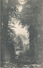 alte AK Plön 1908, Schlossgarten - Blick vom Stern