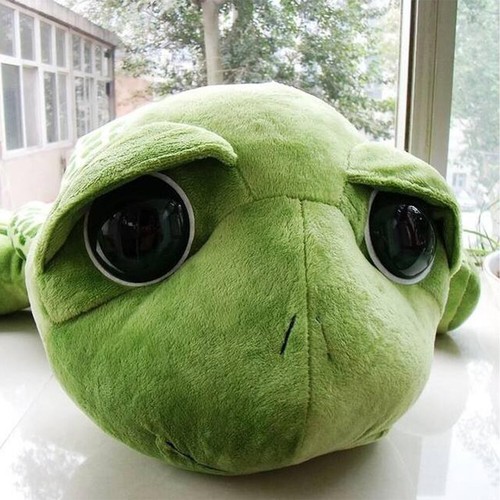 Schildkröte plüsch stofftier - schildkröte,