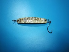 Blinker, Spange, Abalone