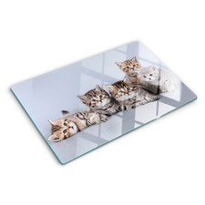 Glas-Herdabdeckplatte