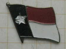 TEXAS / USA  / FAHNE ............................... Städte & Länder Pin (183k)