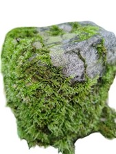 4x Steine, Felsen, echtes