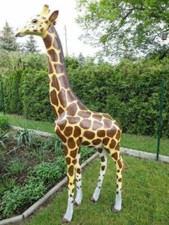 XXL Premium gr. Giraffe Kind