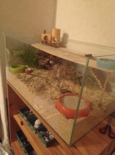 Gehege Zu Verkaufen Für