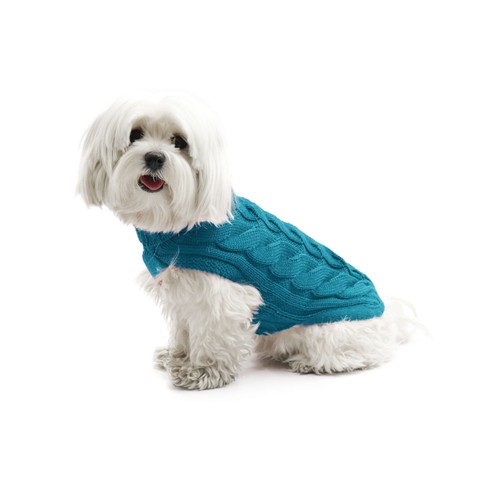 Fashion dog - fashion,
