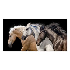 Postereck 3564 Poster Leinwand